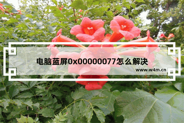 电脑蓝屏0x00000077怎么解决