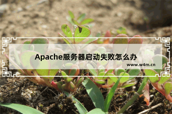 Apache服务器启动失败怎么办