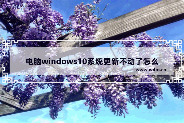 电脑windows10系统更新不动了怎么办