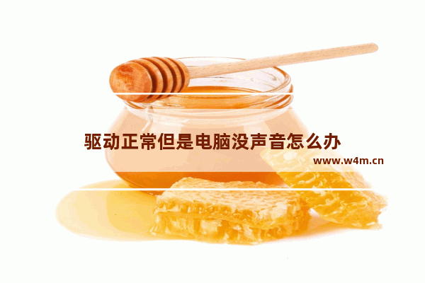 驱动正常但是电脑没声音怎么办