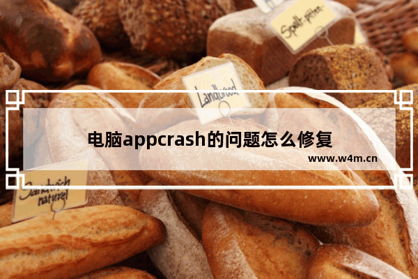 电脑appcrash的问题怎么修复