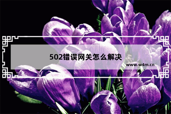 502错误网关怎么解决