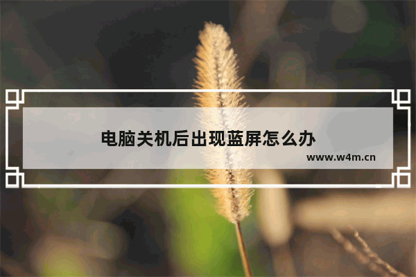 电脑关机后出现蓝屏怎么办