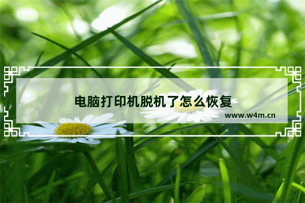 电脑打印机脱机了怎么恢复