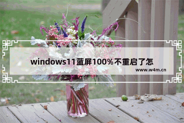 windows11蓝屏100%不重启了怎么办 windows11蓝屏100%不重启解决方法