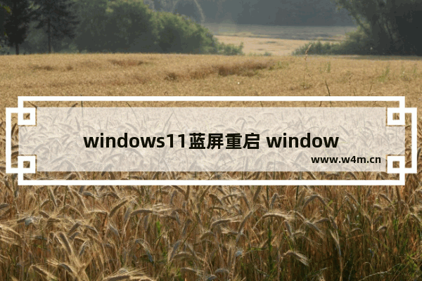 windows11蓝屏重启 windows11蓝屏重启解决方案