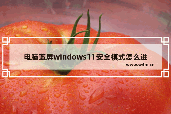 电脑蓝屏windows11安全模式怎么进 window11已经蓝屏怎么进去安全模式