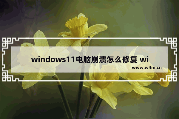 windows11电脑崩溃怎么修复 windows11崩溃怎么解决