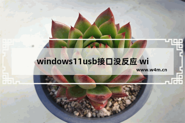 windows11usb接口没反应 windows11 usb失灵解决方法