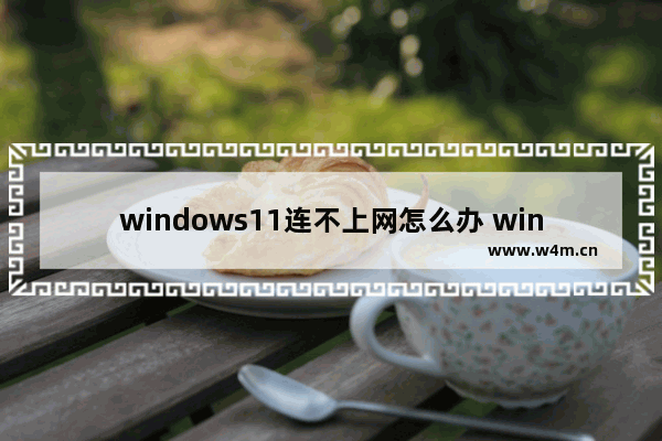 windows11连不上网怎么办 windows11电脑网线插好了但是连不上网