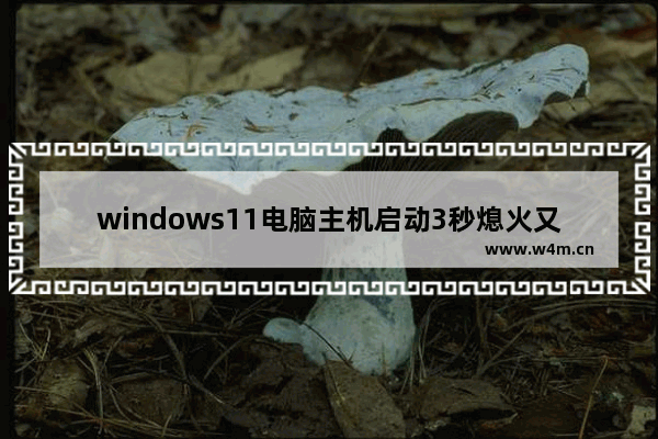 windows11电脑主机启动3秒熄火又重复