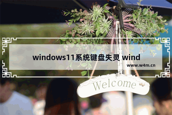 windows11系统键盘失灵 windows11键盘失灵怎么办