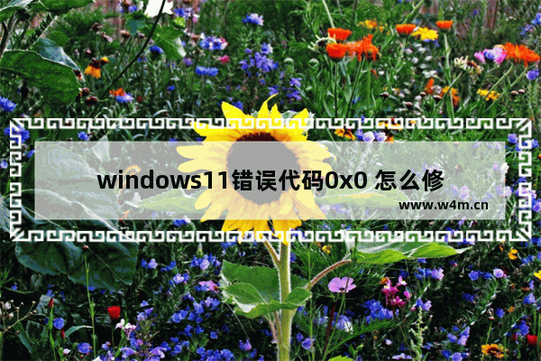 windows11错误代码0x0 怎么修复Windows11提示错误代码0x0