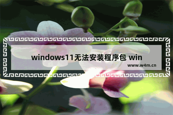 windows11无法安装程序包 windows11安装程序提示无法安装程序包怎么办