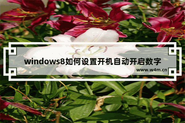 windows8如何设置开机自动开启数字小键盘