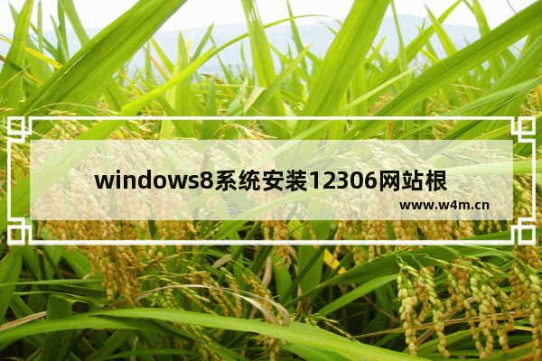 windows8系统安装12306网站根证书的方法