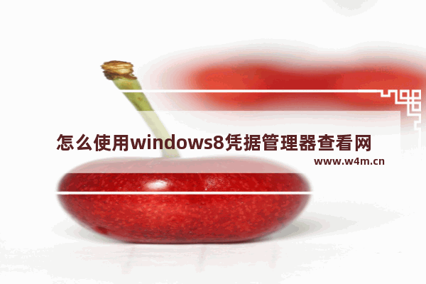 怎么使用windows8凭据管理器查看网页保存的账号密码