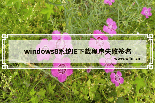 windows8系统IE下载程序失败签名无效的解决方法