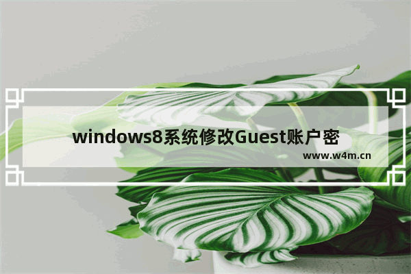 windows8系统修改Guest账户密码方法