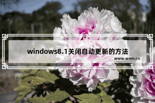 windows8.1关闭自动更新的方法