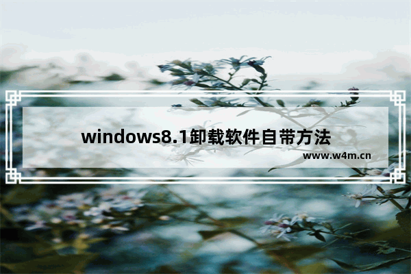 windows8.1卸载软件自带方法