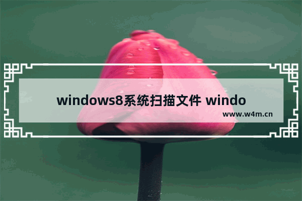 windows8系统扫描文件 windows8怎么扫描文件