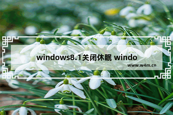 windows8.1关闭休眠 windows8.1系统禁用休眠的方法