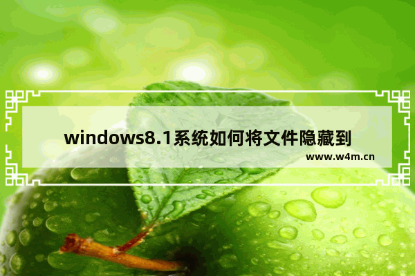 windows8.1系统如何将文件隐藏到图片