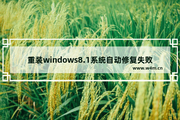 重装windows8.1系统自动修复失败怎么解决