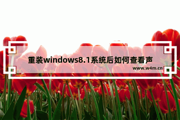 重装windows8.1系统后如何查看声卡型号