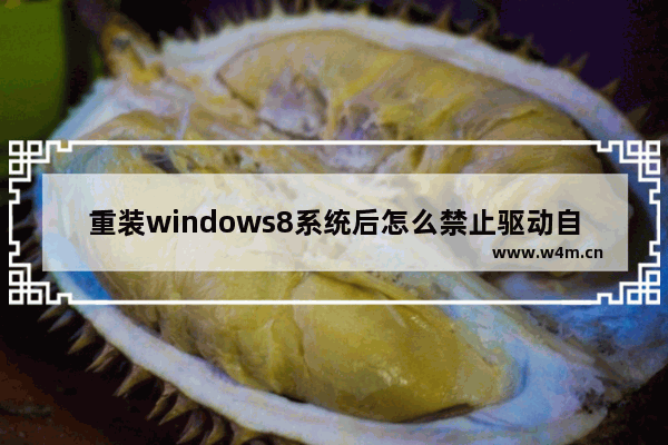 重装windows8系统后怎么禁止驱动自动安装