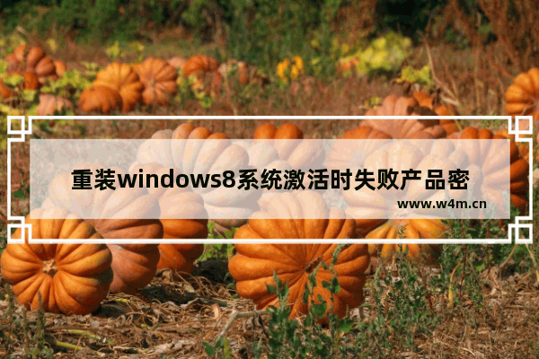 重装windows8系统激活时失败产品密匙无用咋办