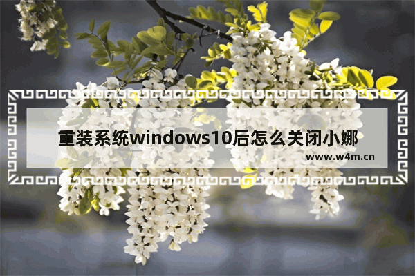 重装系统windows10后怎么关闭小娜搜索框