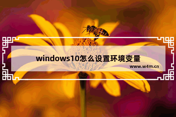 windows10怎么设置环境变量