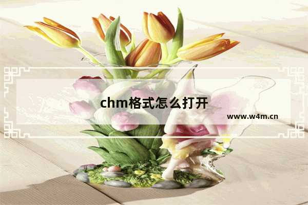 chm格式怎么打开