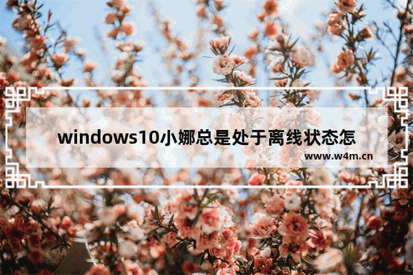 windows10小娜总是处于离线状态怎么办