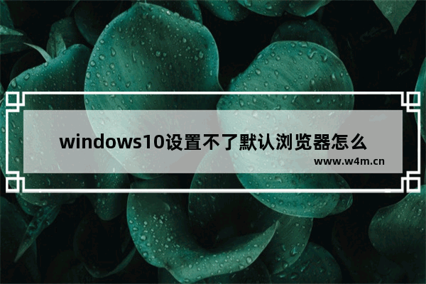 windows10设置不了默认浏览器怎么办