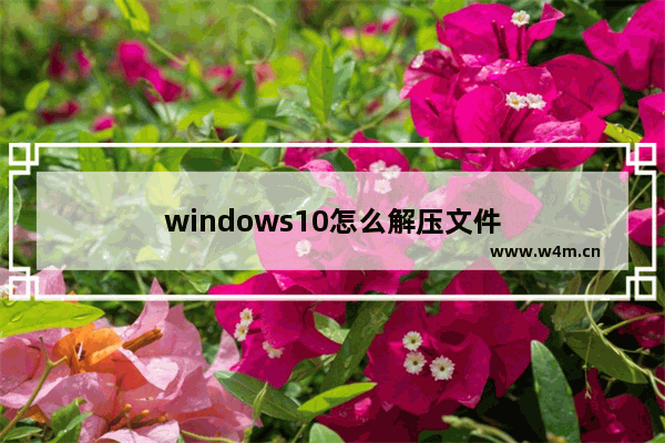 windows10怎么解压文件