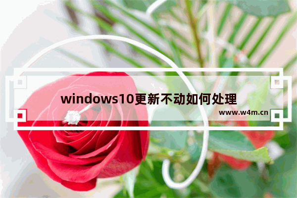 windows10更新不动如何处理