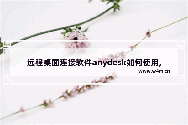 远程桌面连接软件anydesk如何使用,教你远程桌面连接软件anydesk的使用方法