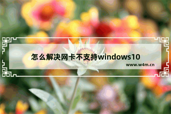 怎么解决网卡不支持windows10