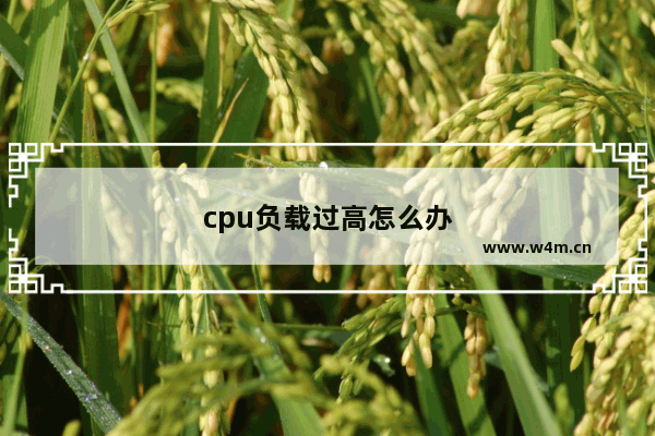 cpu负载过高怎么办