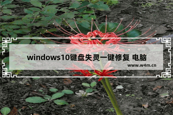 windows10键盘失灵一键修复 电脑windows10键盘失灵一键修复方法