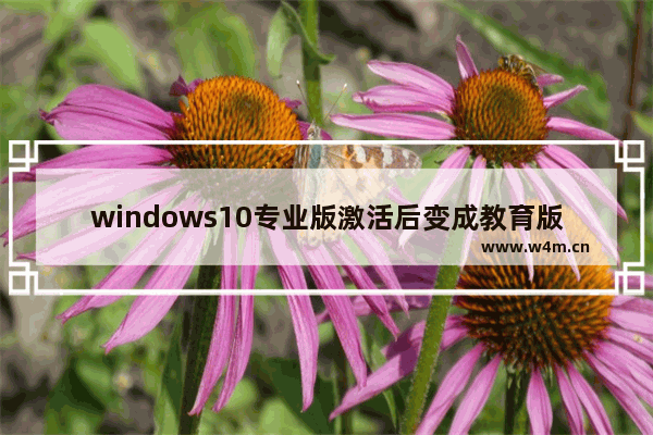 windows10专业版激活后变成教育版 windows10系统专业版激活后变成教育版