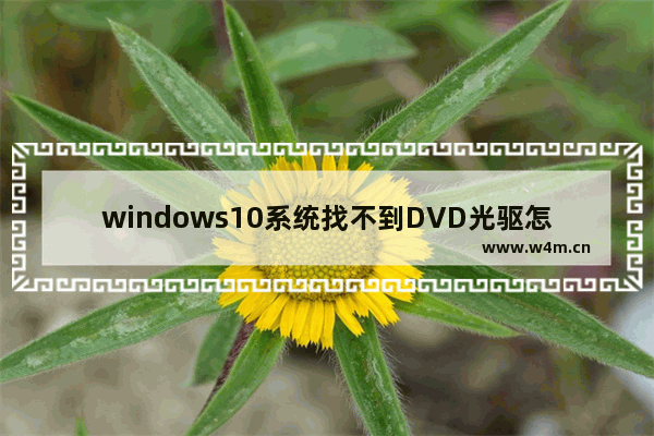 windows10系统找不到DVD光驱怎么办 windows10系统找不到DVD光驱解决方案