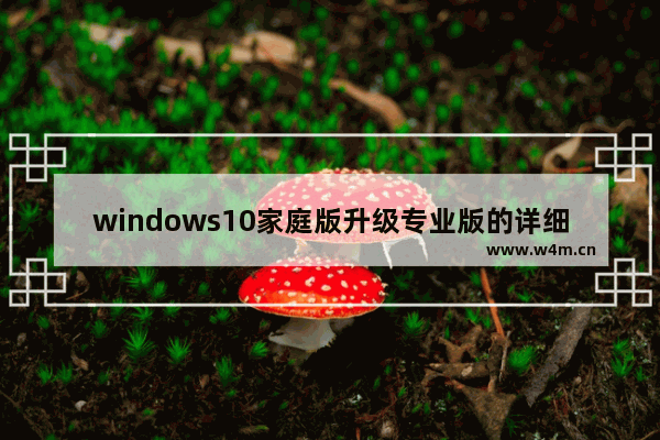 windows10家庭版升级专业版的详细步骤 windows10家庭版怎么升级为专业版