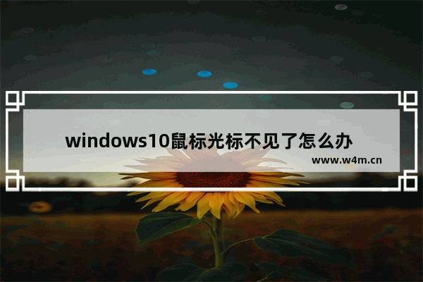 windows10鼠标光标不见了怎么办 windows10鼠标光标不见了的解决方法