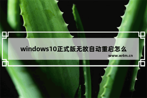 windows10正式版无故自动重启怎么办 Windows10无故自动重启的解决办法