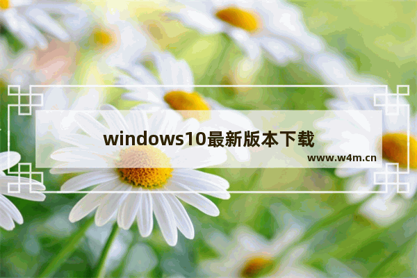 windows10最新版本下载