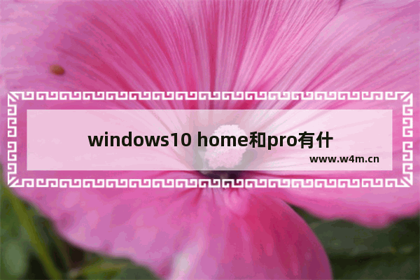 windows10 home和pro有什么区别 windows10pro和home是什么版本